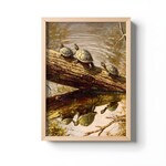 Turtle Art Prints