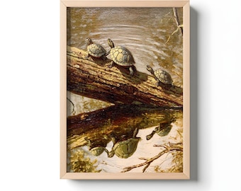 Bayou Turtles Oil Painting Print, Vintage Louisiana Wildlife Wall Art | Rustic Nature and Swamp Décor
