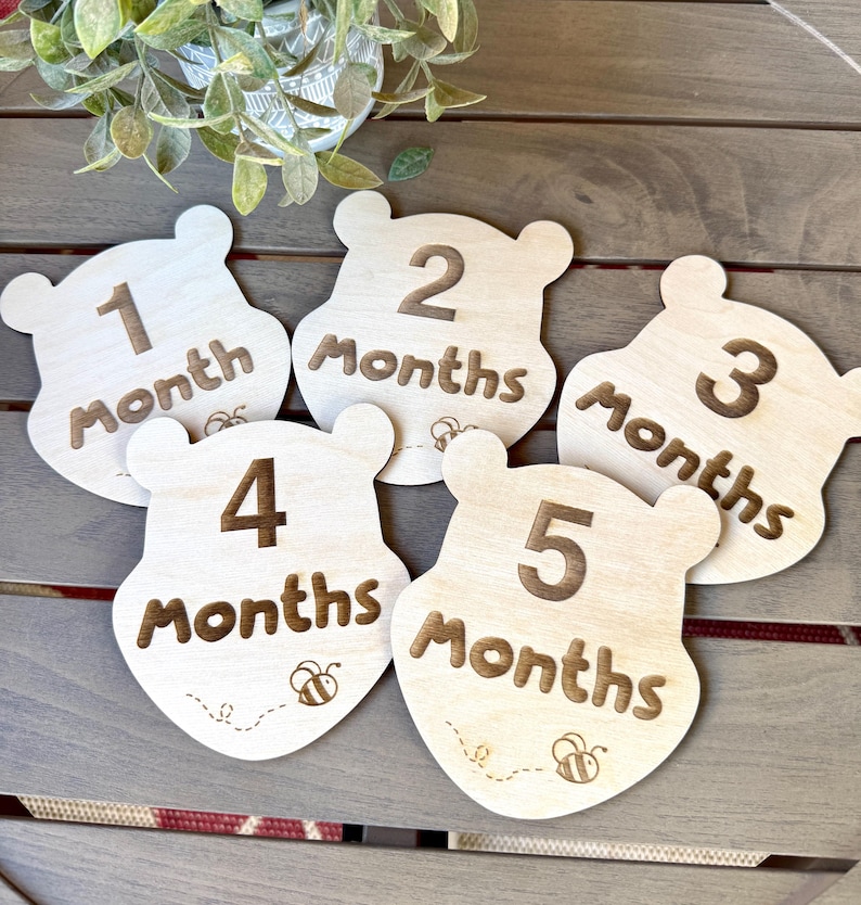 Wooden Baby Month Discs, Winnie the Pooh Inspired Baby Milestone ...