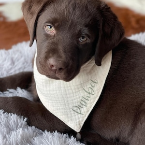 子供と犬用のパーソナライズされたバンダナ