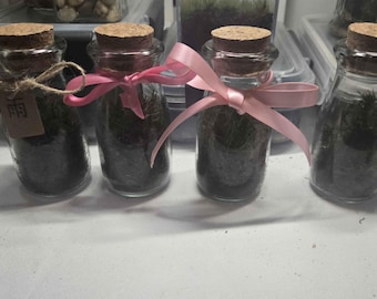Small Bottle Moss Terrarium