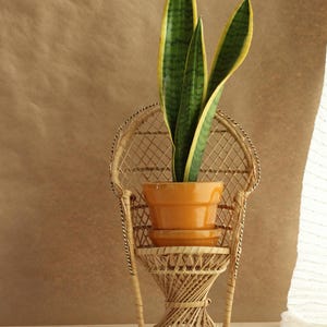 Miniature Rattan Peacock Chair | Plant Stand