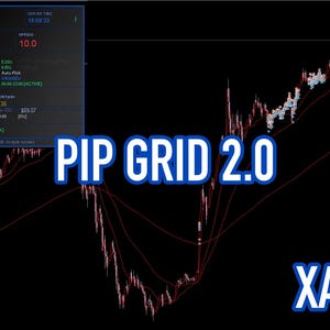 May include: A digital trading dashboard titled PIP GRID 2.0 displaying XAUUSD M5 market data. The interface features a dark background with red line graphs, a blue information panel showing account statistics, and white text overlays for the title.