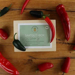 Set di peperoncino e spezie "Hot Guy" - Aromi piccanti per cucina e giardino