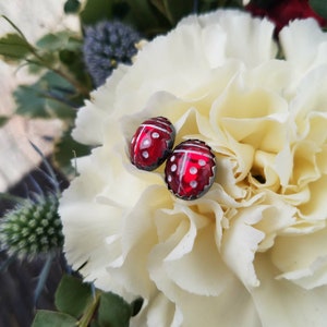May include: A pair of red and white ladybug earrings with silver settings. The earrings are on a white flower.