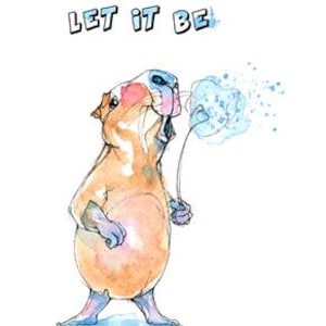 Capibara Clipart, Capy, Happy Capibara, Capibara, Let it be, PNG, JPG, Babyshower, Digitale download, Uitnodigingskaart, Verjaardag, Feest
