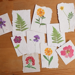 Versione stampata di fiori pressati veri - Kit di carta per scrapbooking di fiori - Set di diario di effimeri floreali - 10 pezzi di carta fatta a mano riciclata