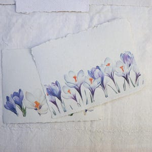 Crocus Botanical Collection - Set di carta floreale fatta a mano - Carta floreale per Scrapbooking