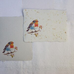 Set di carta fatta a mano Robin Bird - Confezione di carta riciclata fatta a mano - Bellissime pagine di quaderno da campo