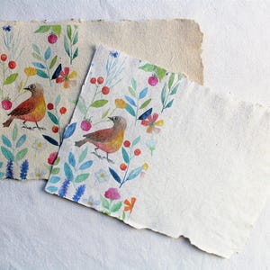 Bellissimo set di carta fatta a mano per acquerello - Cartoleria fatta a mano - Carta fatta a mano con fiori e frutta con uccelli - Carta da lettere carina naturale