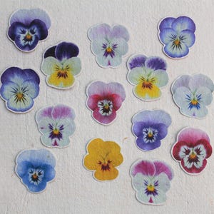 Puede incluir: Una colección de pegatinas de flores de pensamiento coloridas en tonos morado, azul, rosa y amarillo. Las pegatinas están dispuestas sobre un fondo de papel texturizado blanquecino, mostrando los diseños florales detallados.