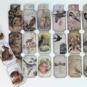 Set biglietti per uccelli - Striscia effimera di animali - Set di adesivi decorativi per uccelli - Diario vintage retrò