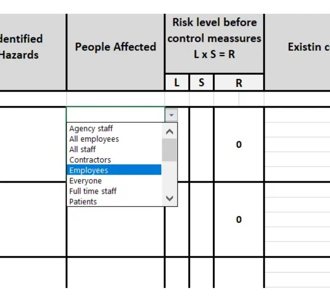 Editable Risk Assessment Template V2.0 - Etsy UK