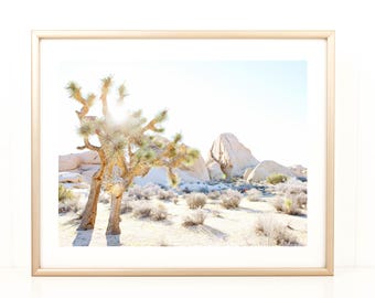 Palm Springs Photo, Desert Photo, Joshua Tree, Coachella, California Photography, Large Photo Print, Desert Morning