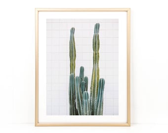 Cactus Print, Cactus Photo, Desert Wall Art, Desert Photography, California, Palm Springs Photo, Minimalist Art, Boho Photo, Cacti Art