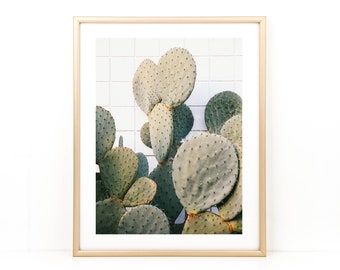 Cactus Print, Cactus Photo, Desert Wall Art, Desert Photography, California, Palm Springs Photo, Minimalist Art, Boho Photo, Cacti Art