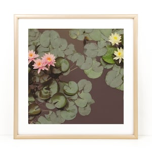 Water Lily Photo, Floral Photo Print, Lily Art, Flower Photograph, Water Lily Print, Lily Pad Print, Lily Pad Photo, Square Photo Print