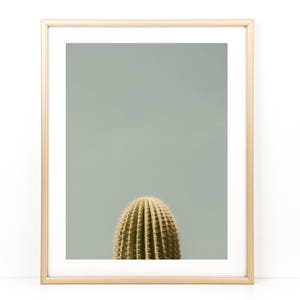 Saguaro Cactus, Cactus Photo, Desert Photography, Cactus, Saguaro Photograph