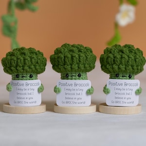 Cute Handmade Crochet Broccoli, 1PCS Broccoli Amigurumi, Crochet Vegetable, Positive Gift, Home Table Decor, Emotional Support Crochet