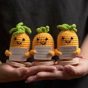 Emotional Support Pineapple, Handmade Encouragement Gift, Cute Crochet Amigurumi Plush with Message