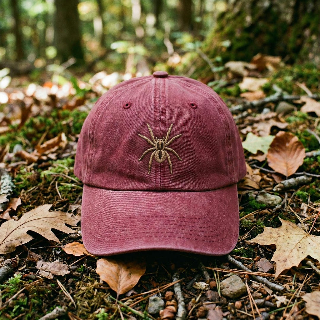 Embroidered Spider Wash Dad Cap, Arachnology Gift, Minimalist Bug Hat ...