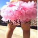 see more listings in the TUTU BLOOMERS & HEADBAND section