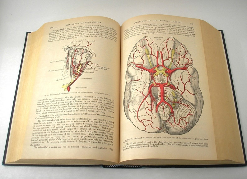 Gray's Anatomy Vintage Classic Anatomy Textbook 1977 | Etsy