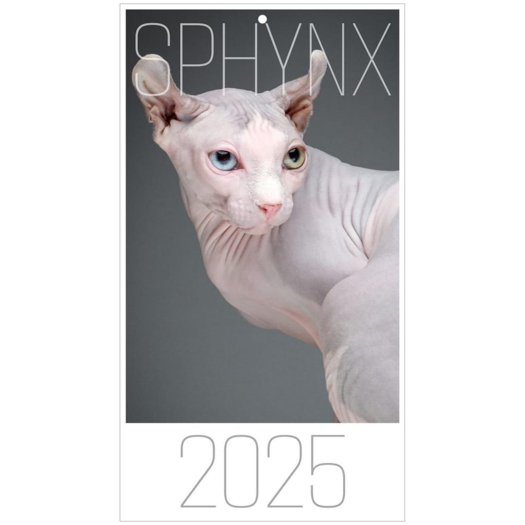 Sphynx Cat Wall Calendar 2025 Etsy