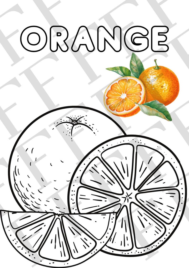Fruits Coloring Pages for Kids - Fun English Learning Printable - Etsy