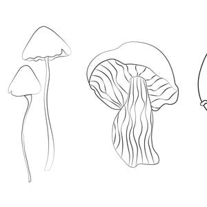 Mushrooms SVG PNG EPS Clipart | Mushroom Silhouette | Toadstool Template | Fungus Vector Cut Files | Instant Digital Download