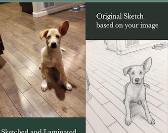 Schizzo a matita di un animale domestico – Ricordo disegnato a mano e plastificato