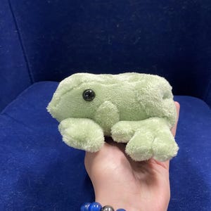 Stuffed Frog