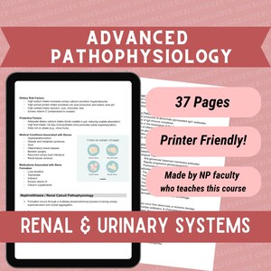 高度病態生理学 MSN FNP AGACNP ノート - 腎臓および尿路系の変化！