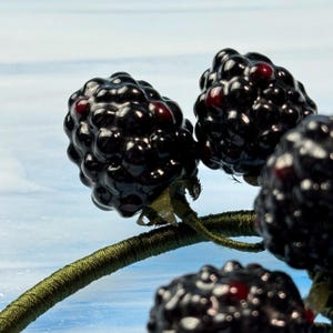 Blackberry Bracelet. Handcrafted bracelet. One of the kind gift. Beauty of nature. Fruit jewelry. Berry jewelry. Special gift Unique jewelry