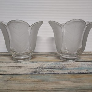 May include: Two clear glass light shades with a frosted leaf design. The shades have a tulip shape with a scalloped edge. The leaf design is etched into the glass. The shades are sitting on a weathered wooden surface.