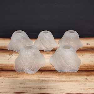 May include: Five frosted glass lamp shades with a glittery, textured finish. The shades have a flared, petal-like shape and are arranged on a wooden surface. The background is a dark, solid color.