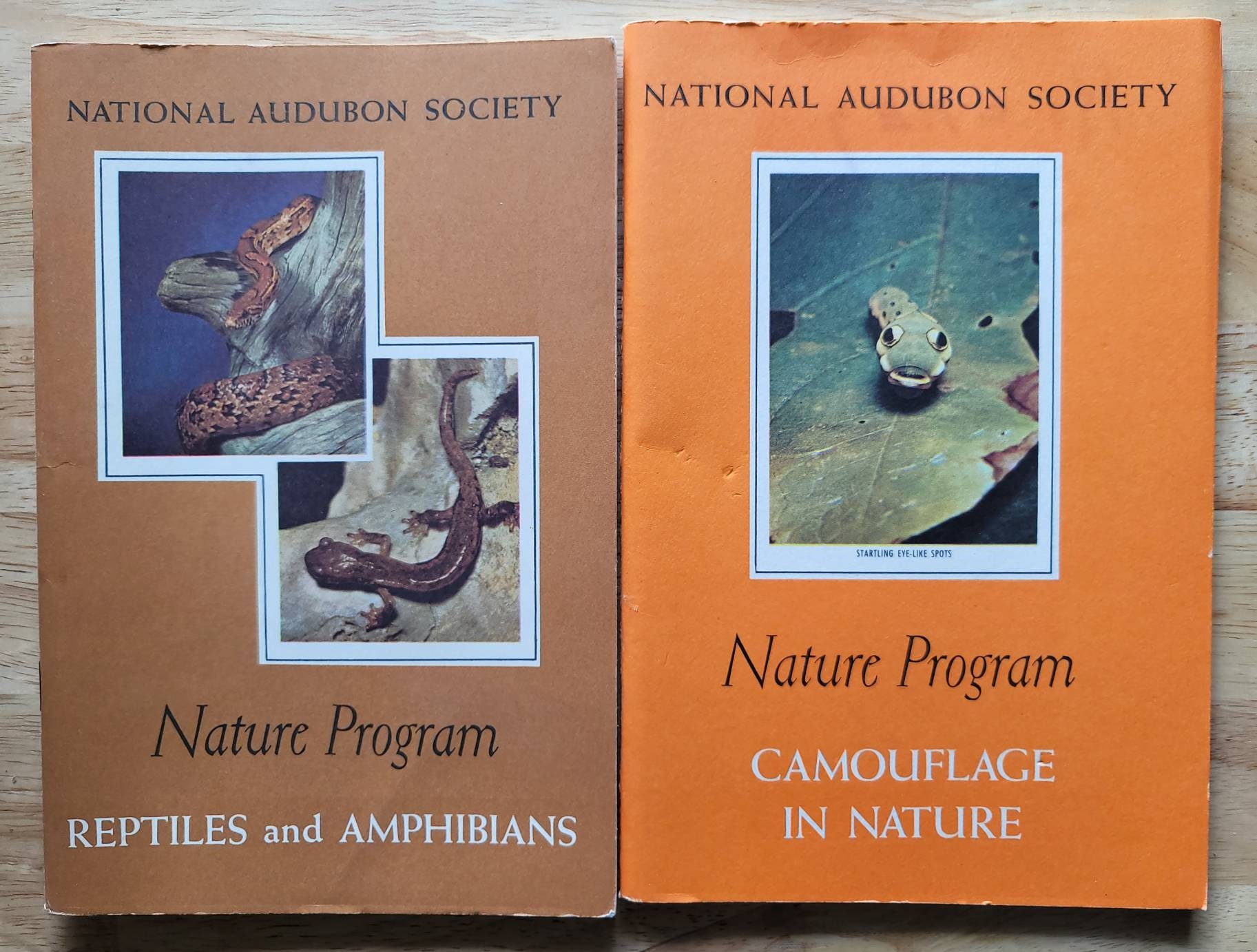National Audubon Society Nature Program Booklet Set Etsy UK