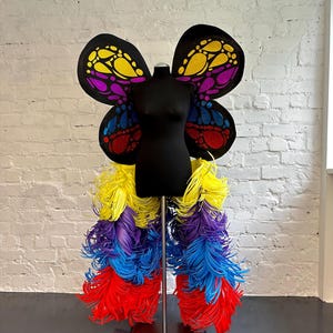 Colourful fairy costume for adults, Cosplay, Halloween costume