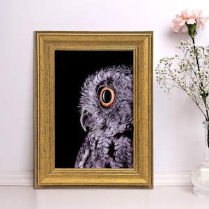 Owl Artwork Vintage Framed Wall Art, Beautiful Owl Print, Nature Art, Animal Wall Decor, Owl Art, Wildlife Framed Art
