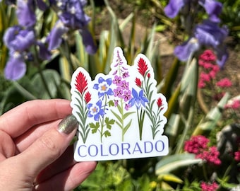 Colorado Wildflower Vinyl Sticker, Hand Drawn State Flower Decal, Hiking, Camping, Waterproof for Laptop or Water Bottle