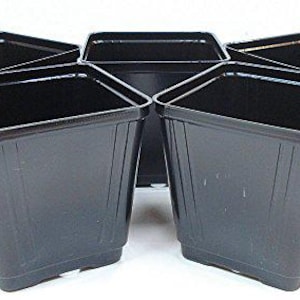 May include: Six black plastic square plant pots. The pots are all the same size and shape.