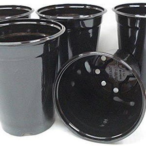 Puede incluir: Cinco macetas de plástico negro, cada una con agujeros de drenaje en el fondo. Las macetas están dispuestas en semicírculo, con una maceta boca abajo en el centro.