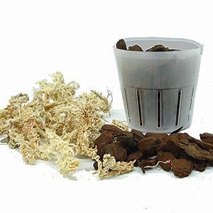 May include: A white plastic pot with drainage holes, filled with brown soil and a small amount of dried moss. The pot is sitting on a white surface, surrounded by a larger amount of dried moss.