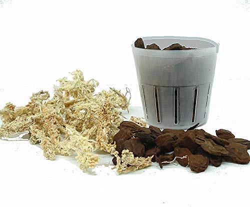 All in One, Everything Needed to Repot Your Orchid - Choose Pot & Bark Size