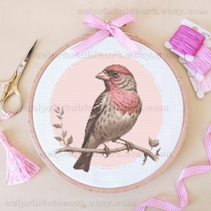 Pink Browed Rosefinch Cross Stitch, Bird Embroidery Realistic Nature Design Soft Pastel Wildlife Needlework Framed Wall Art Digital Gift PDF