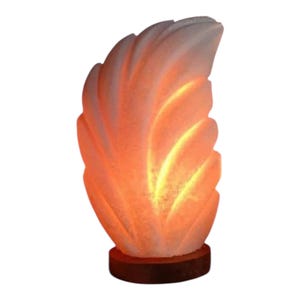 Lampada di sale naturale fatta a mano dell'oasi di Siwa, con pietra bianca e base in legno, decorazione zen.