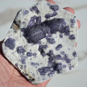 Blueberry Fluorite Freeform Specimen - Blue Fluorite Nodules on Matrix