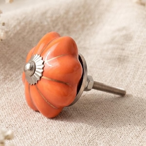 Hand-Painted Floral Orange Pumpkin Ceramic Drawer Knob – Cabinet Pull Handle