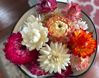 3 cups - Free Shipping - small/med/large mixed strawflowers - peach white pink raspberry yellow