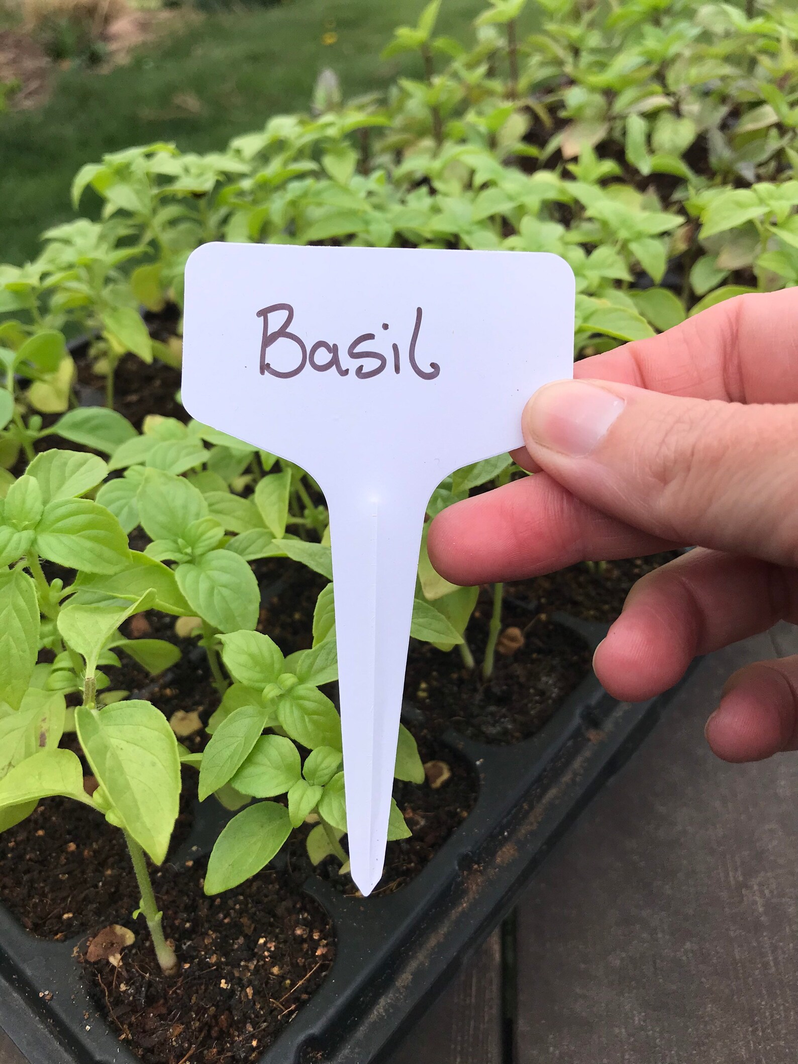 5 10 or 25 count white plastic plant markers From the Farm